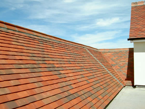 Tiling Photo 15